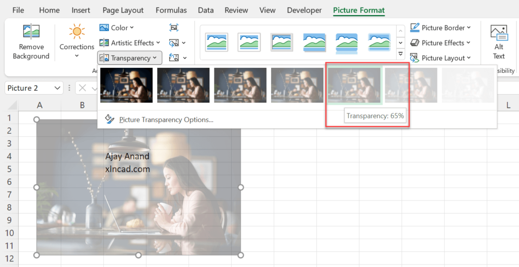 How to Make a picture transparent in Excel