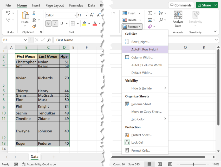 Different Methods To Autofit Rows And Columns In Excel Xl N Cad 0678