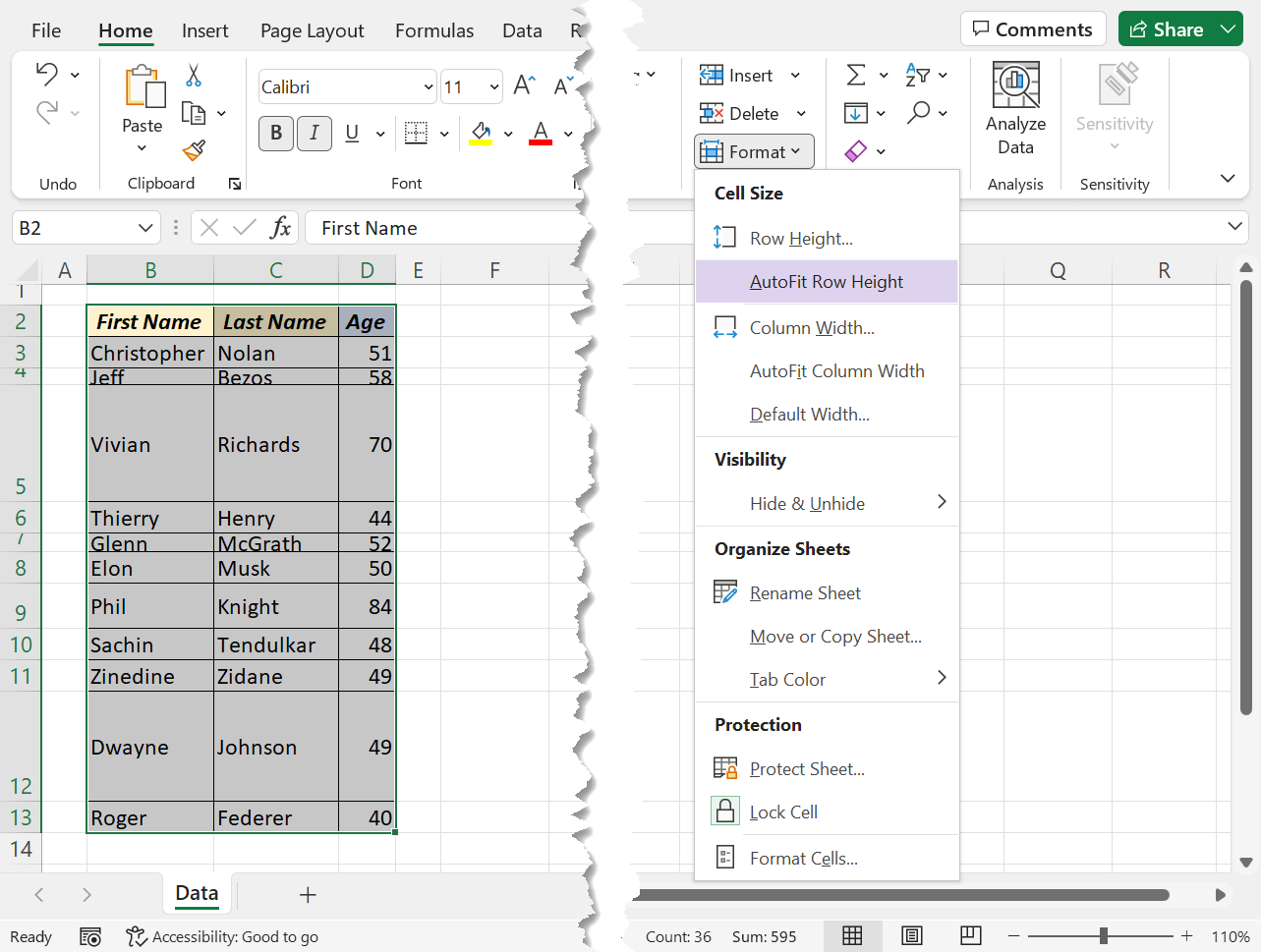 Different methods to AutoFit Rows and Columns in Excel - XL n CAD